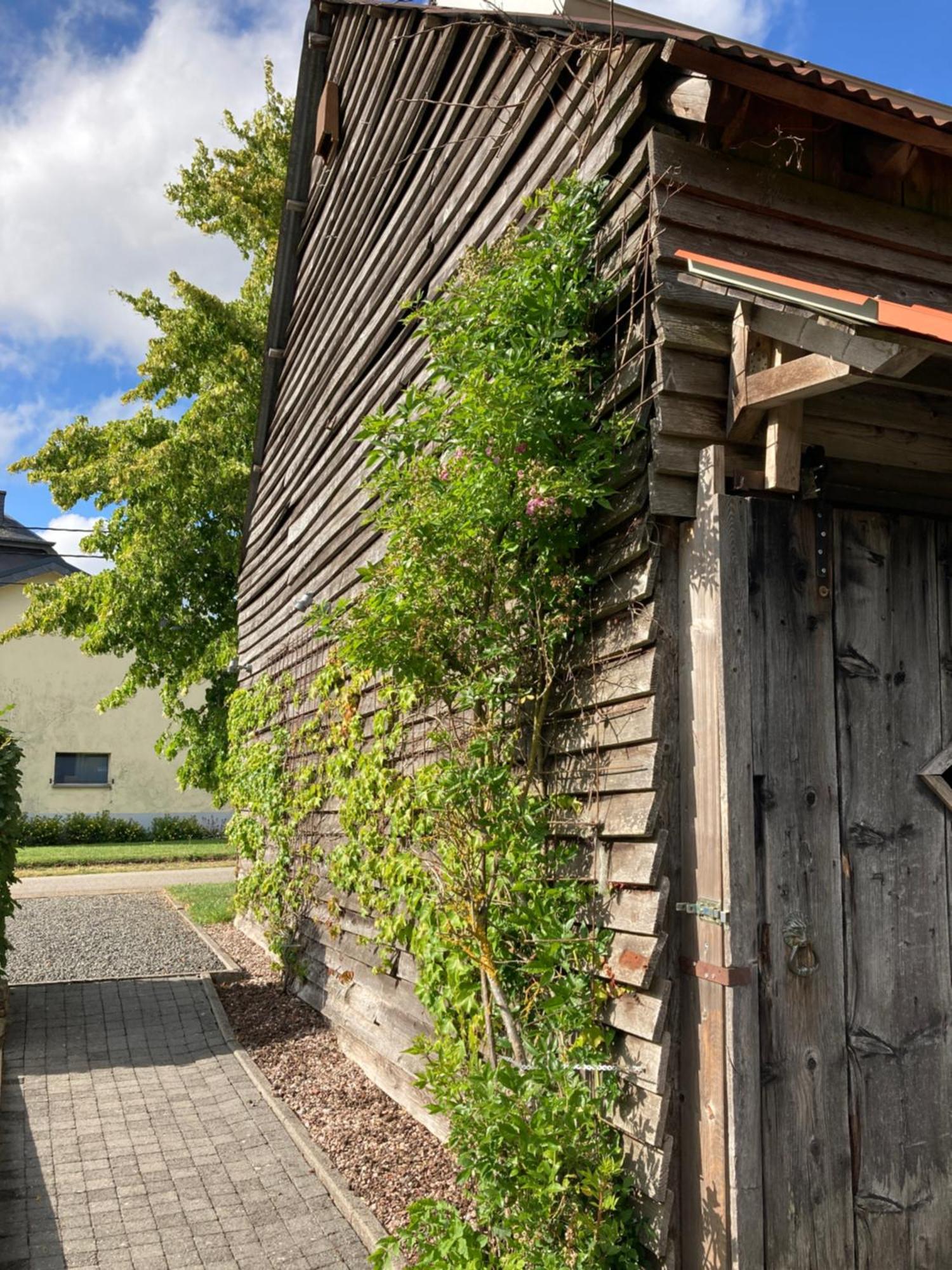 Paulis Cozy 4-Bedroom Vacation Home - With 4 Bathrooms Sun Terrace & Sauna, Nice To Hike & Bike, To Chil & Meet Бюллинген Экстерьер фото