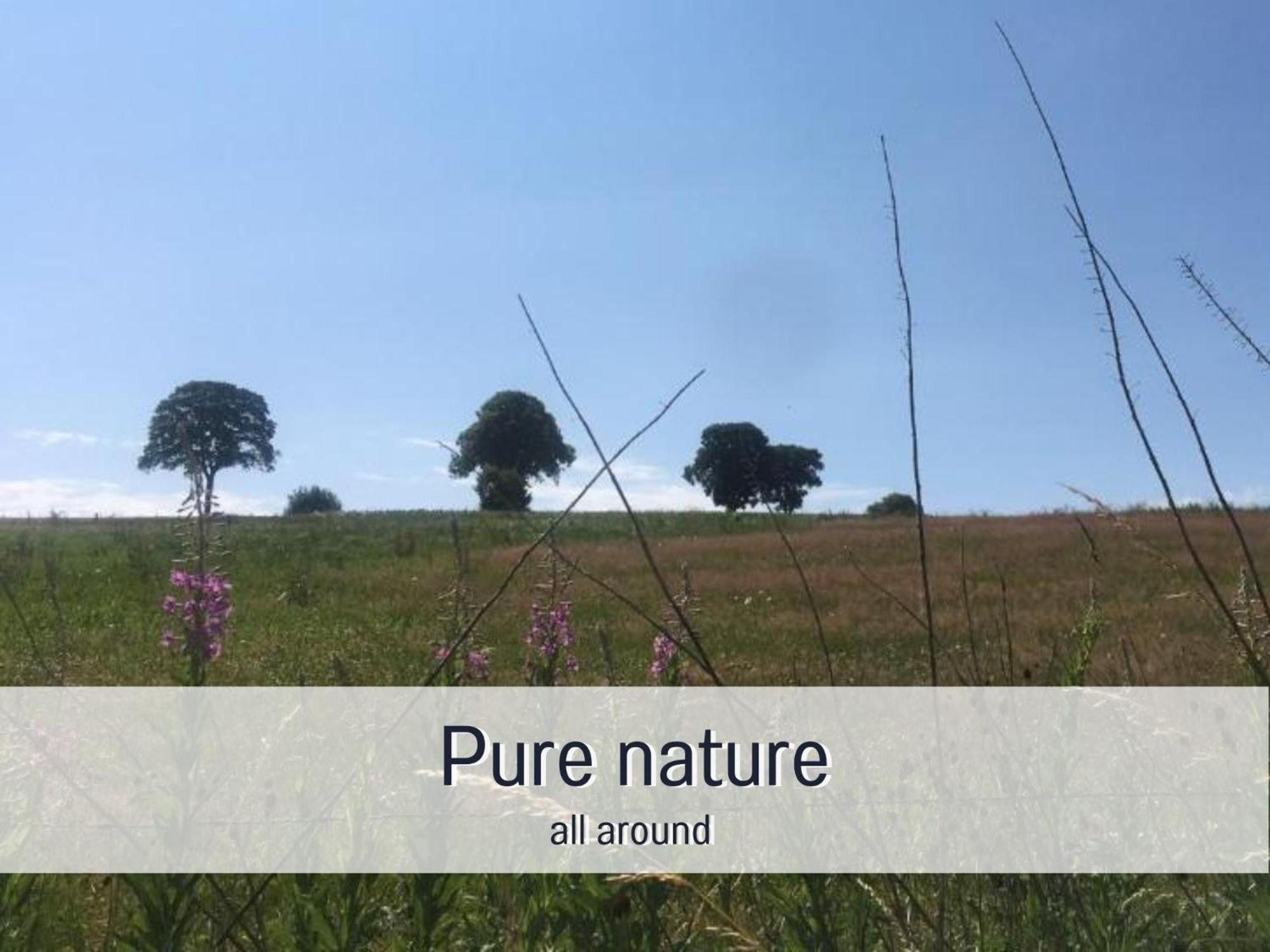 Paulis Cozy 4-Bedroom Vacation Home - With 4 Bathrooms Sun Terrace & Sauna, Nice To Hike & Bike, To Chil & Meet Бюллинген Экстерьер фото